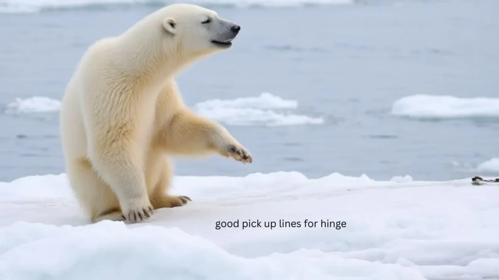 polar bear pick up line