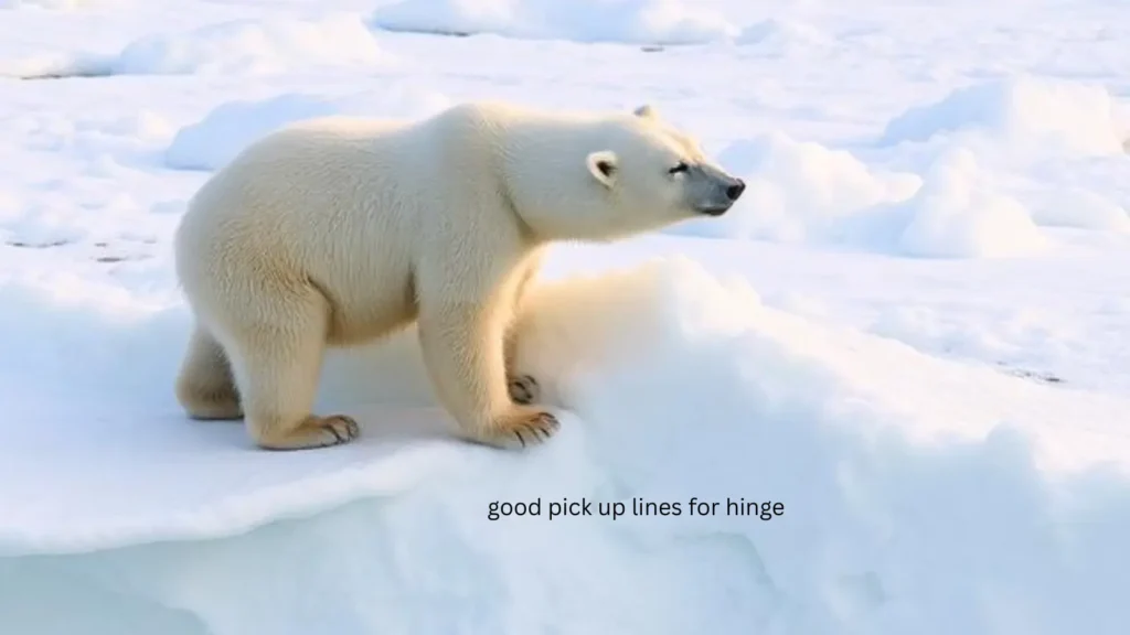 polar bear pick up line