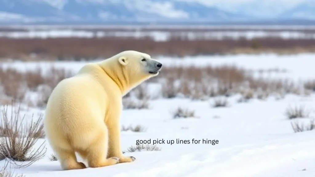 polar bear pick up line